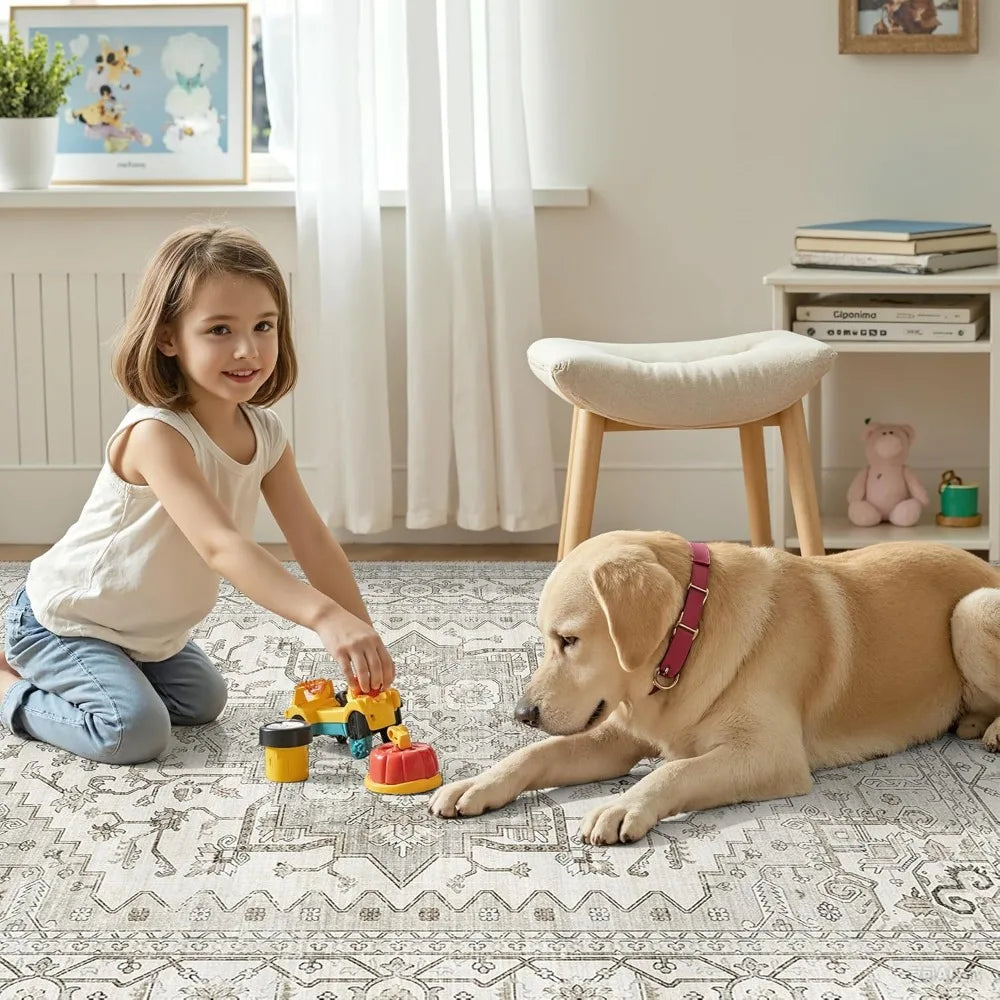 Area Rugs for Living Rooms - 8x10,  Pile Carpet Machine Washable Rugs for Bedroom, Farmhouse, Office, Dining