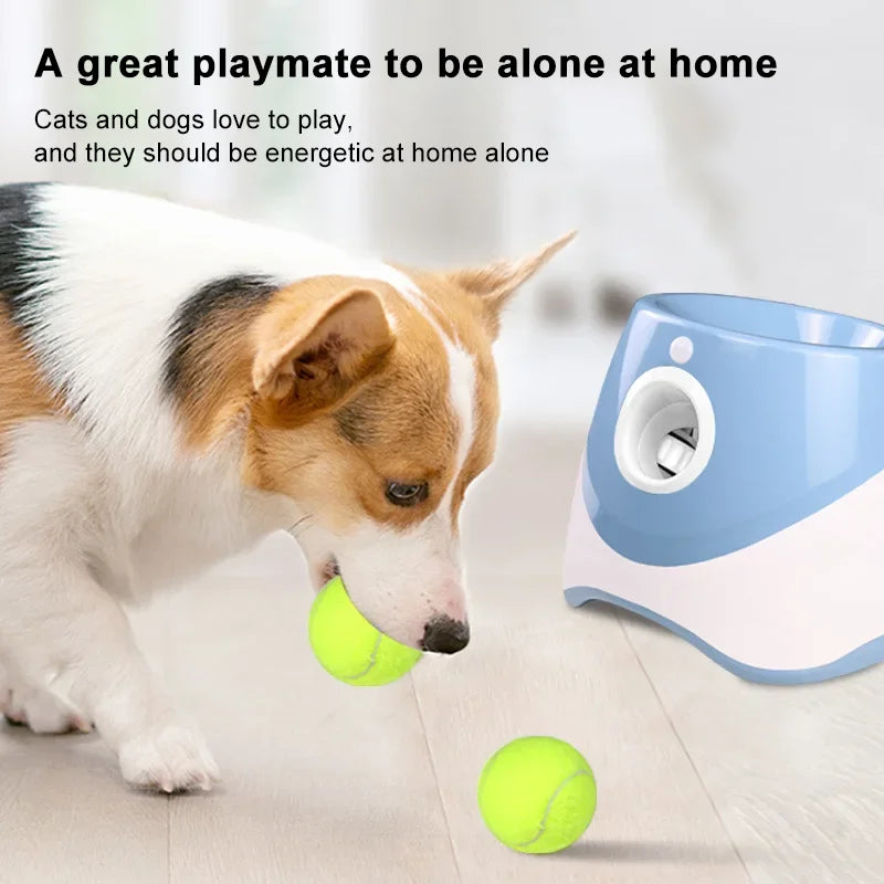 Dog Pet Toys Three-speed Distance Adjustment Automatic Throwing Machine Catapult 3/6/9m Tennis Launcher Pet Ball Throw Device