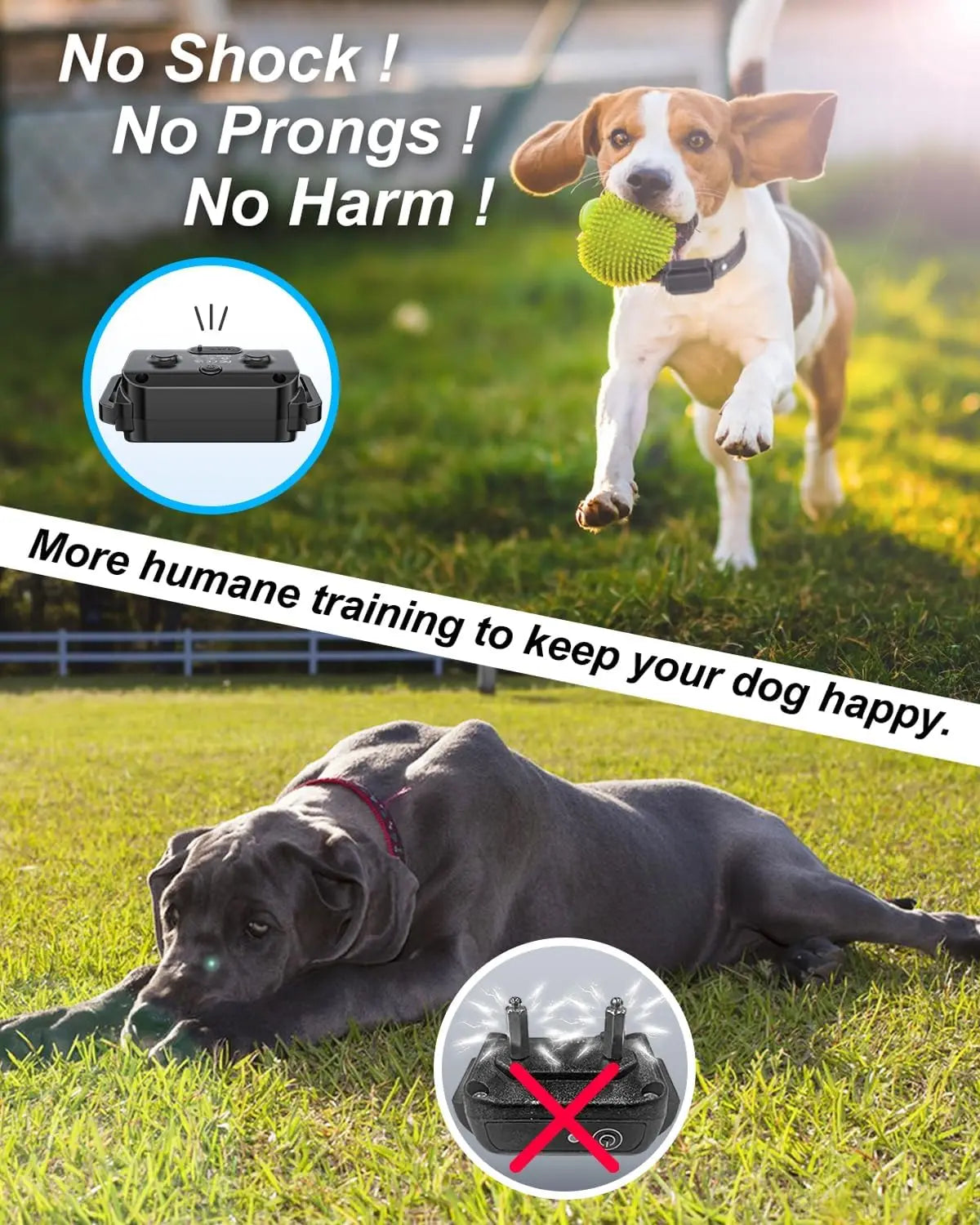 No Shock Dog Training Collar with Remote, Vibrate & Beep Only, Waterproof Rechargeable for Dogs 10-120 lbs (Black)