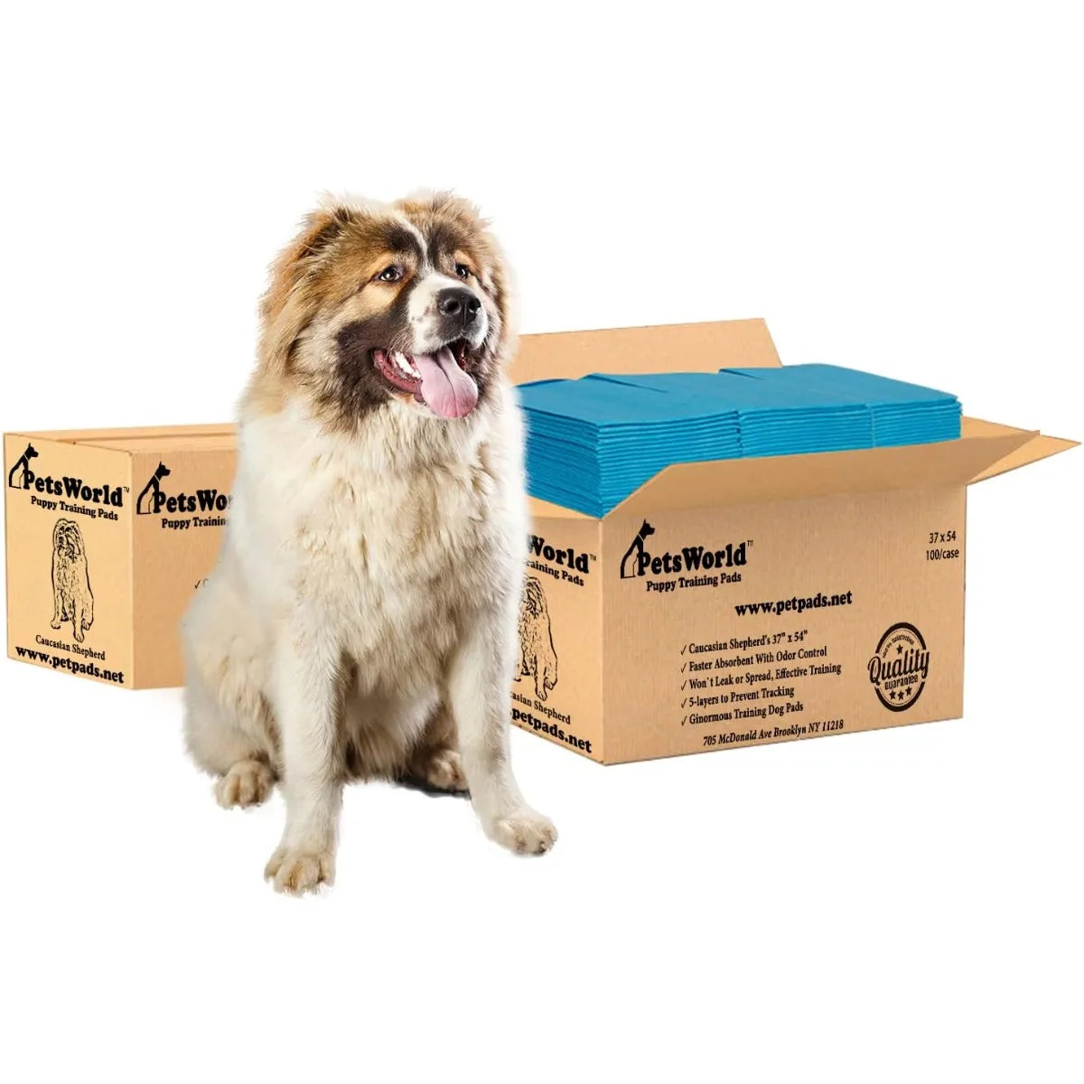 PETSWORLD Enormous Dog Training & Potty Pads 37x54 Inch, Tear Resistant & Leak-Proof with Optional Adhesive Tape, 100 Count